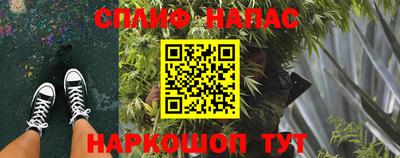 бошки Славгород