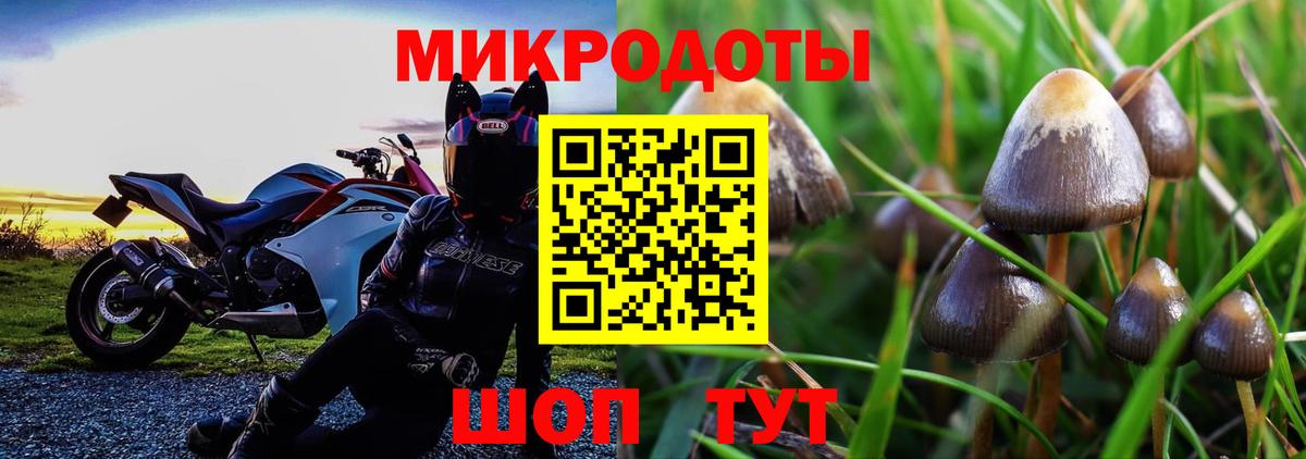 Галлюциногенные грибы Cubensis Наро-Фоминск